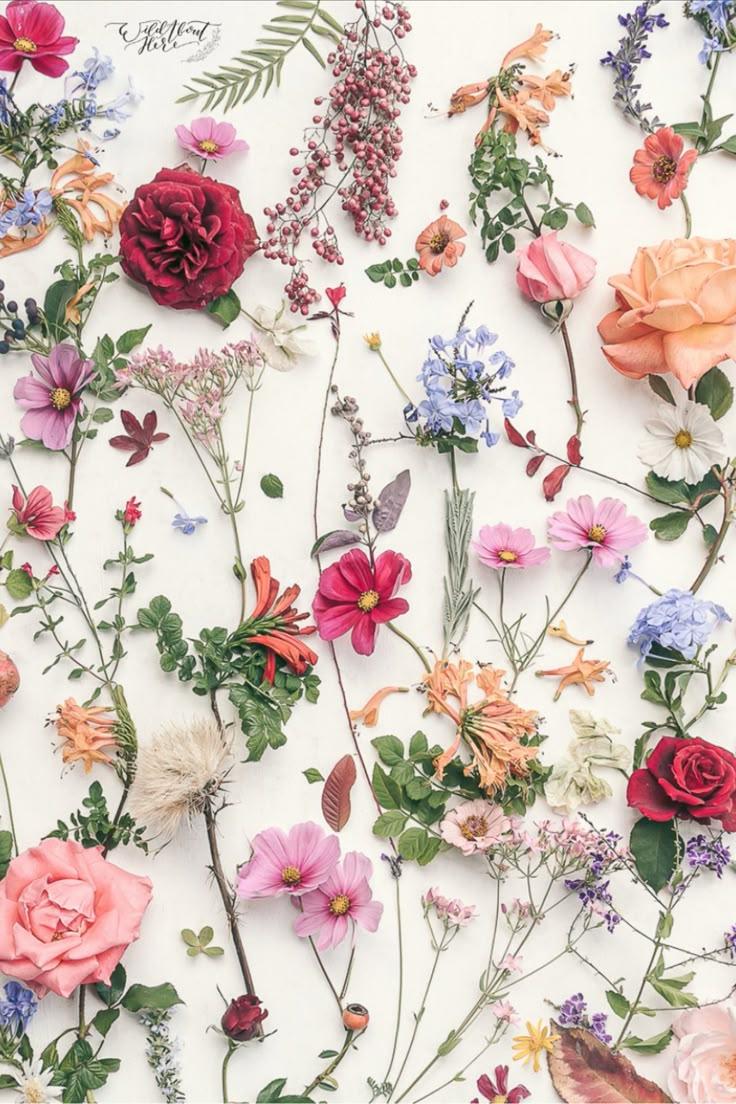 Celestial Dreams Pastel Perfection Posy